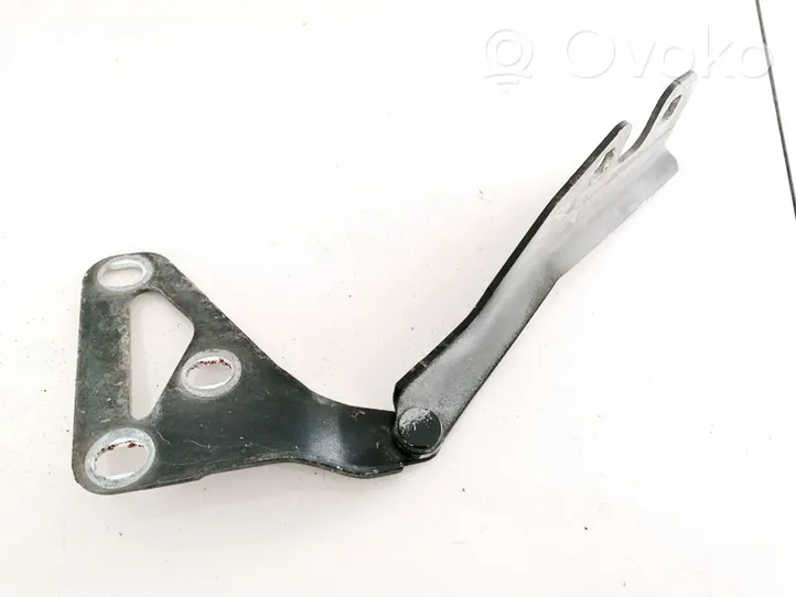 Opel Signum Cerniere del vano motore/cofano 24435369RH