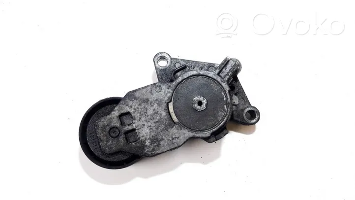 Ford Focus Tendicinghia generatore/alternatore 419484