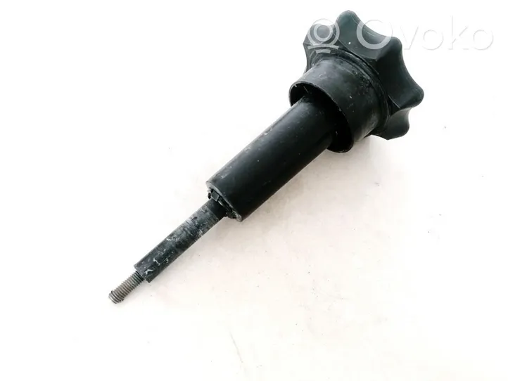 Audi A3 S3 8L Spare wheel bolt 8L0803899B