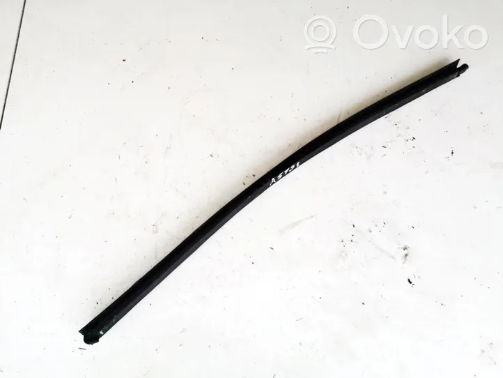 Volkswagen Caddy Rear door glass trim molding 