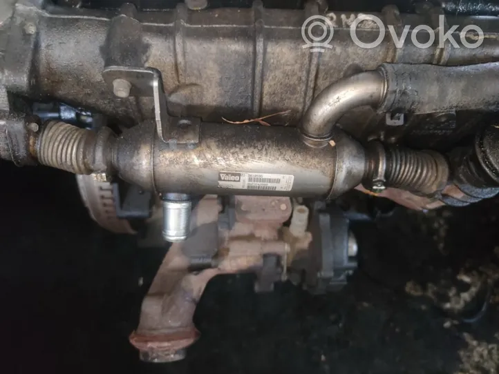 Citroen C5 EGR-venttiili/lauhdutin 9627242880