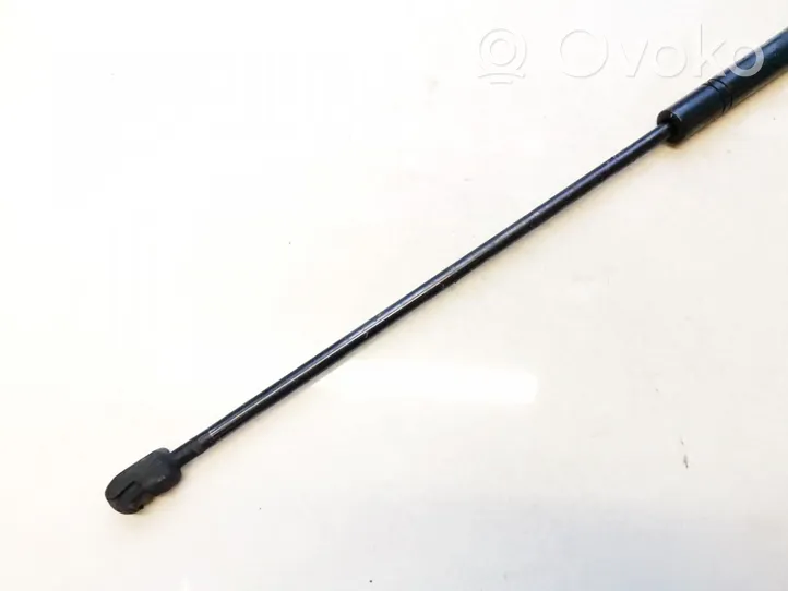 Opel Signum Ammortizzatore portellone anteriore/cofano 24454473