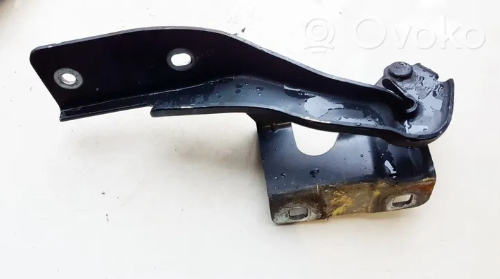 Renault Koleos I Engine bonnet/hood hinges 