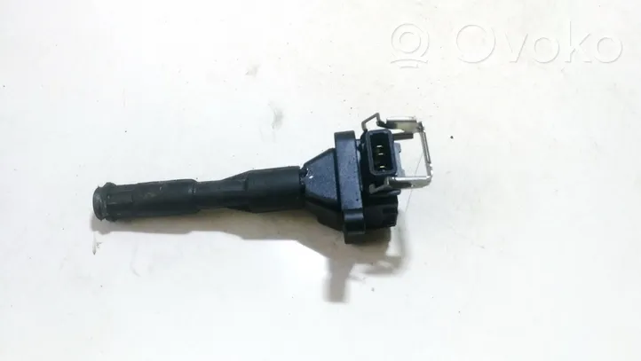 BMW 5 E39 High voltage ignition coil 0221504004