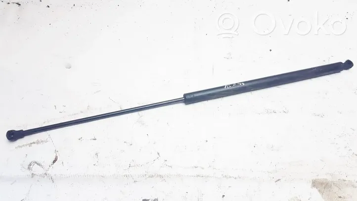 Citroen Xsara Picasso Ammortizzatore portellone posteriore/bagagliaio 