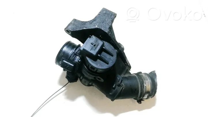 Citroen Berlingo Throttle valve 25365223