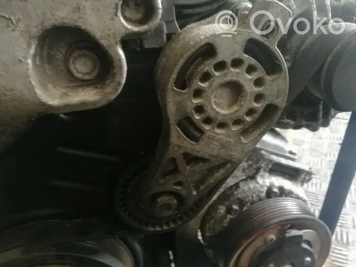 Volkswagen Touran I Napinacz paska alternatora 03g903315