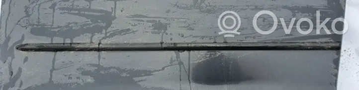 Mazda 5 Listón embellecedor de la puerta delantera (moldura) 