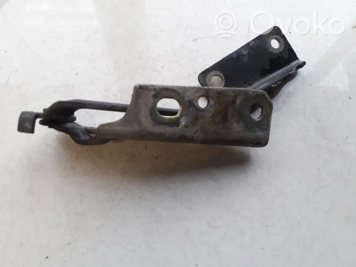 Ford Focus Cerniere del vano motore/cofano xs4116801ae