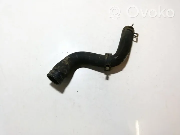 Renault Scenic I Engine coolant pipe/hose 