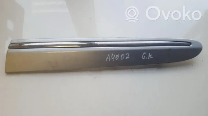 Mercedes-Benz CLK A209 C209 Galinės arkos apdaila A2096902562