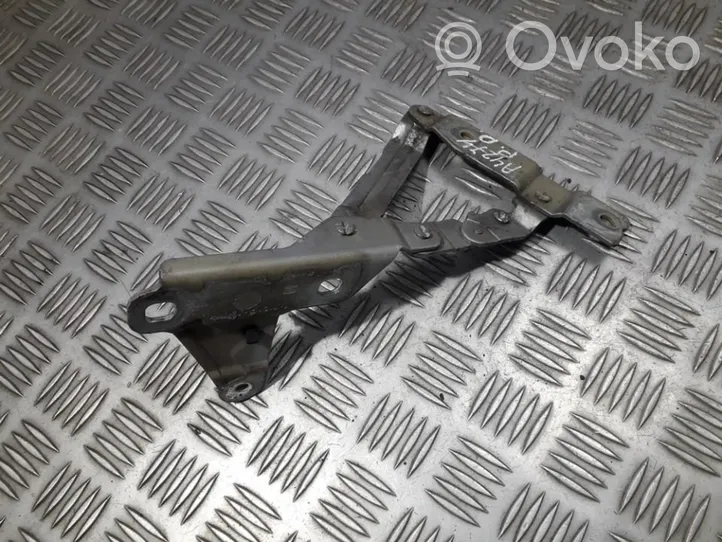 Seat Altea XL Cerniere del vano motore/cofano 5p0823302b