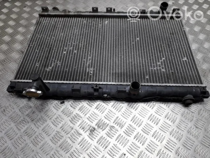 Hyundai Santa Fe Coolant radiator 2531026000