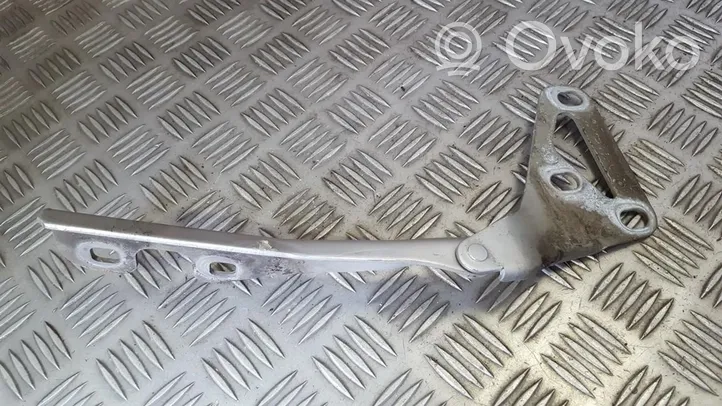 Opel Astra H Cerniere del vano motore/cofano 24435369