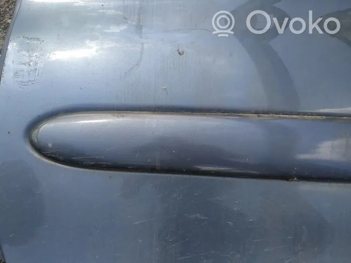 Citroen Xsara Picasso Rivestimento della portiera anteriore (modanatura) 