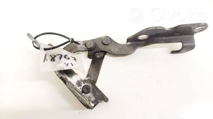 Hyundai Sonata Engine bonnet/hood hinges 