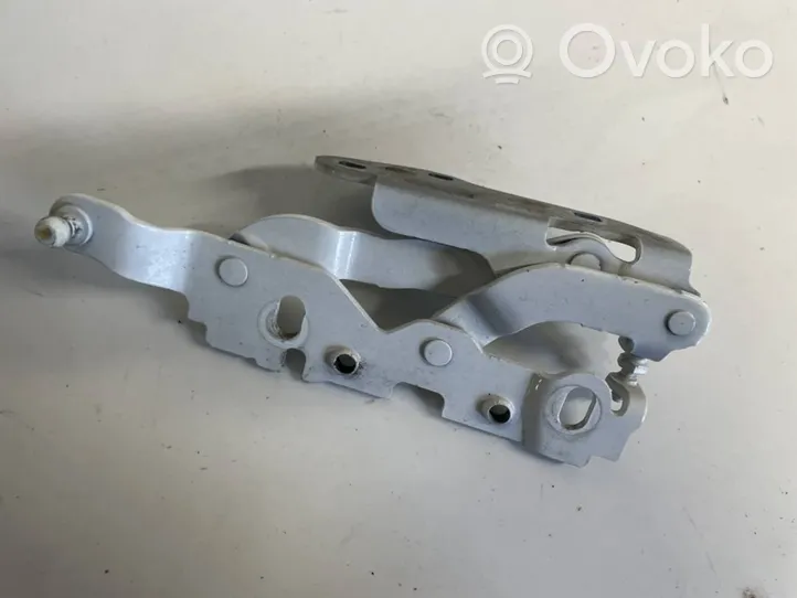 Mercedes-Benz E W212 Cerniere del vano motore/cofano a2048800128