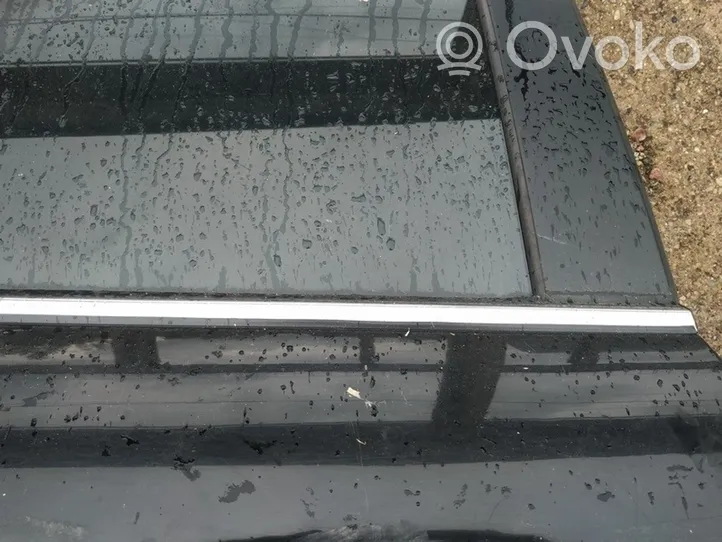 Hyundai Sonata Rear door glass trim molding 