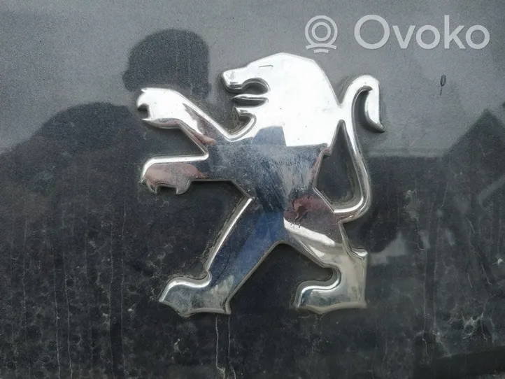 Peugeot 607 Valmistajan merkki/logo/tunnus 