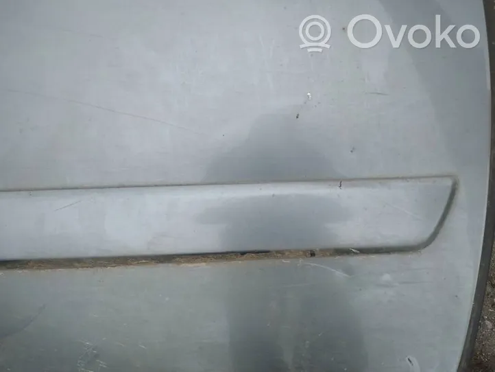 Citroen C5 Apdaila priekinių durų (moldingas) 