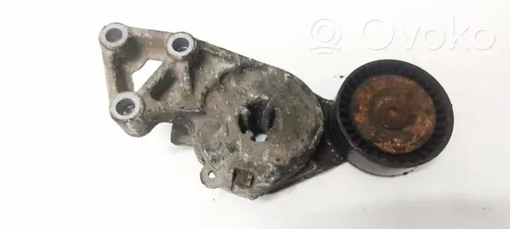 Volkswagen PASSAT B6 Napinacz paska alternatora 06A903315F