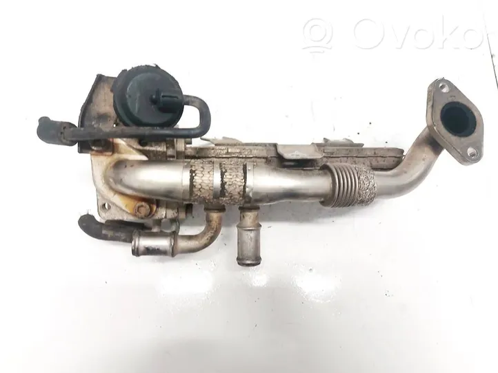 Volkswagen Touran I EGR valve cooler 038131513ad