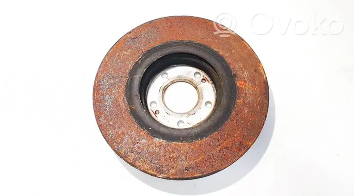 Hyundai Santa Fe Front brake disc ventiliuojamas