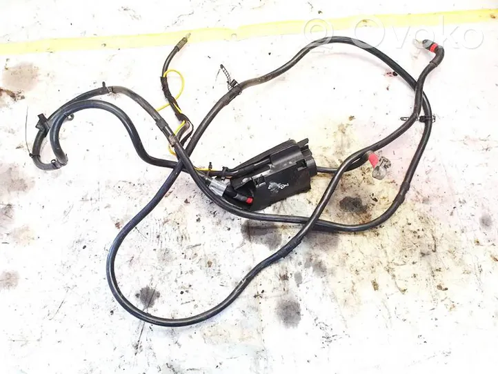 Audi A6 S6 C6 4F Other wiring loom 4f0971812a