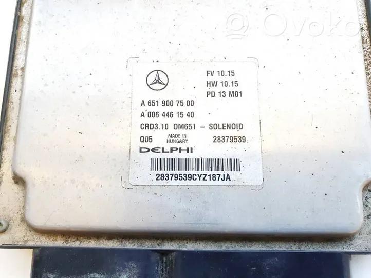 Mercedes-Benz E W212 Sterownik / Moduł ECU a6519007500