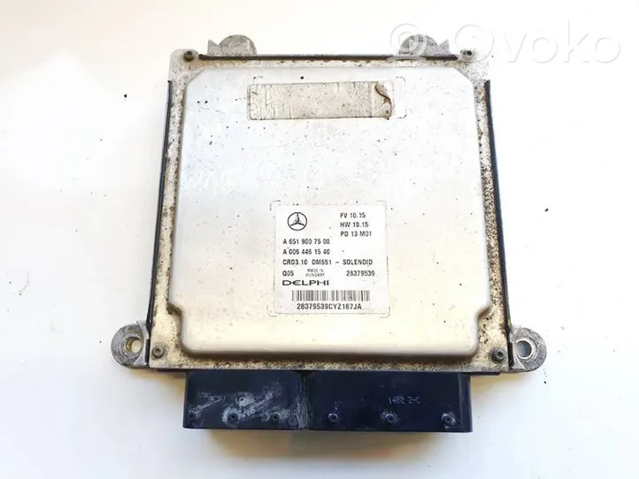 Mercedes-Benz E W212 Calculateur moteur ECU a6519007500