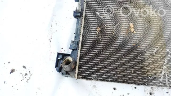 Opel Signum Coolant radiator 24418343