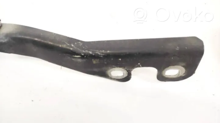 Opel Signum Cerniere del vano motore/cofano 24435369