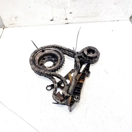 Ford Focus Timing chain (engine) 