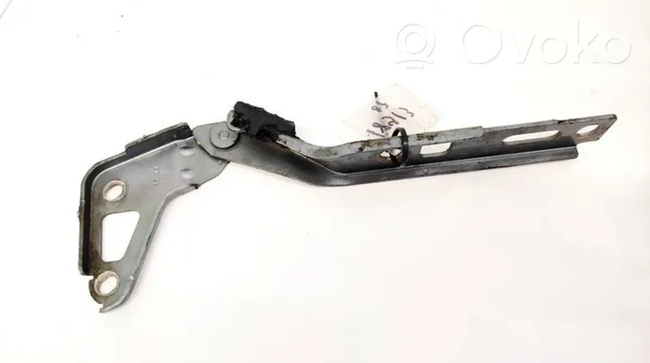 Audi Q7 4L Engine bonnet/hood hinges 4L0823301