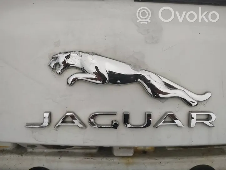 Jaguar XF Mostrina con logo/emblema della casa automobilistica 