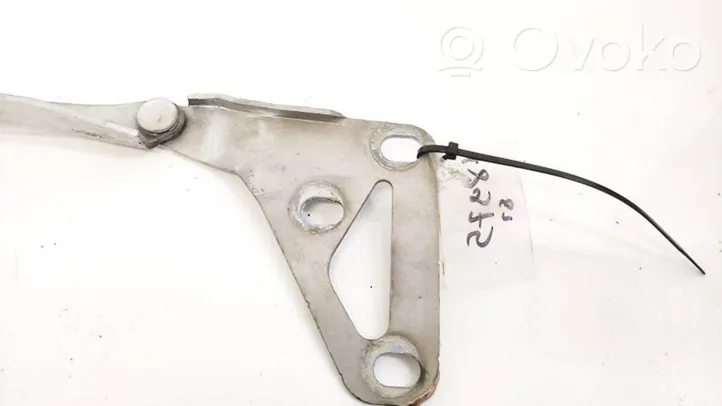 Opel Astra H Engine bonnet/hood hinges 13195721