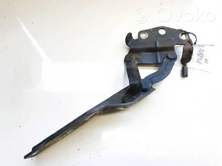 Volkswagen PASSAT B6 Engine bonnet/hood hinges 