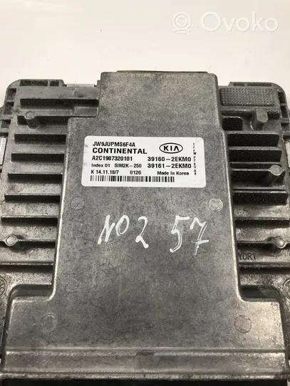 KIA Optima Centralina/modulo motore ECU 391602EKM0