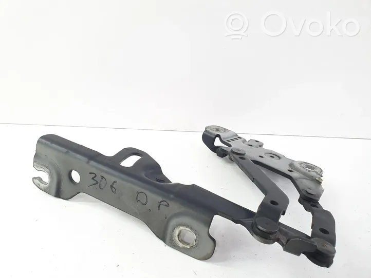 BMW 1 F20 F21 Cerniere del vano motore/cofano 139896