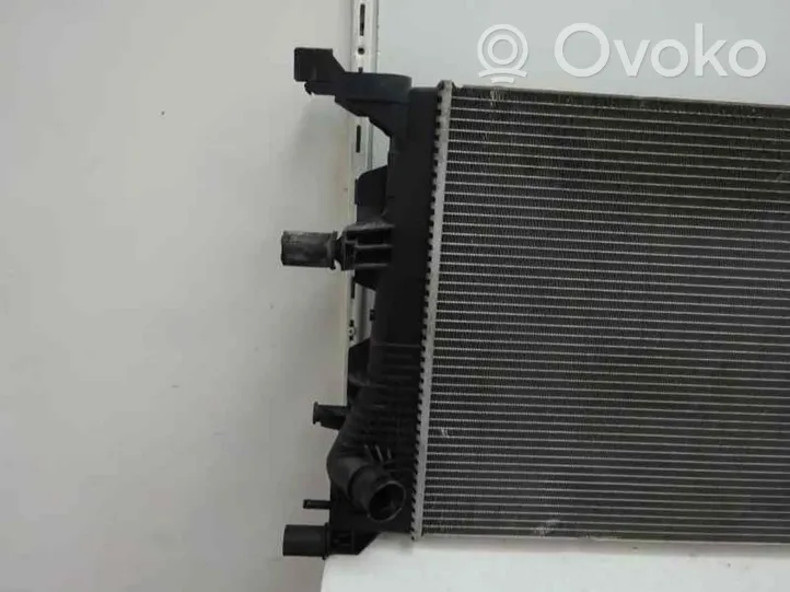 Renault Megane III Coolant radiator 