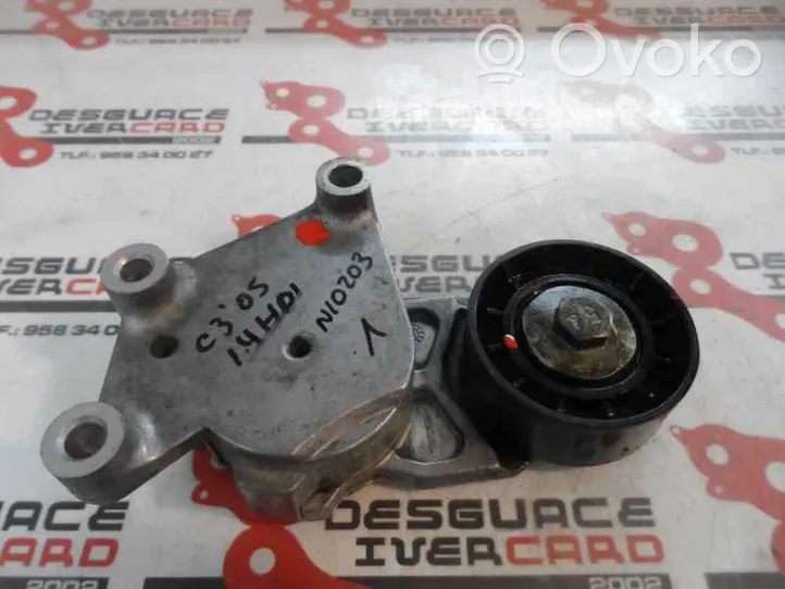 Citroen C3 Napinacz paska alternatora 