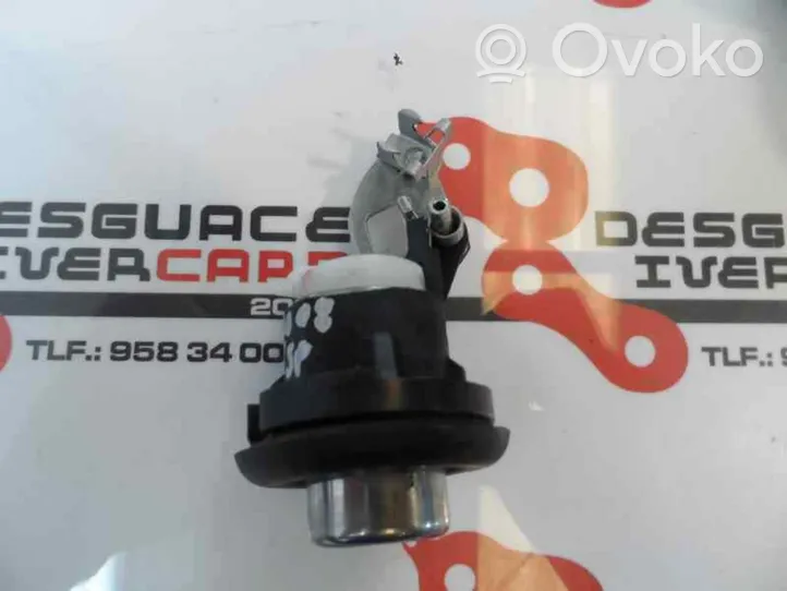 Dacia Sandero Blocchetto accensione 1749060-1