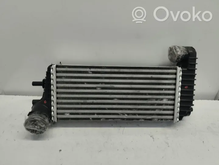 Ford Transit -  Tourneo Connect Radiatore intercooler 