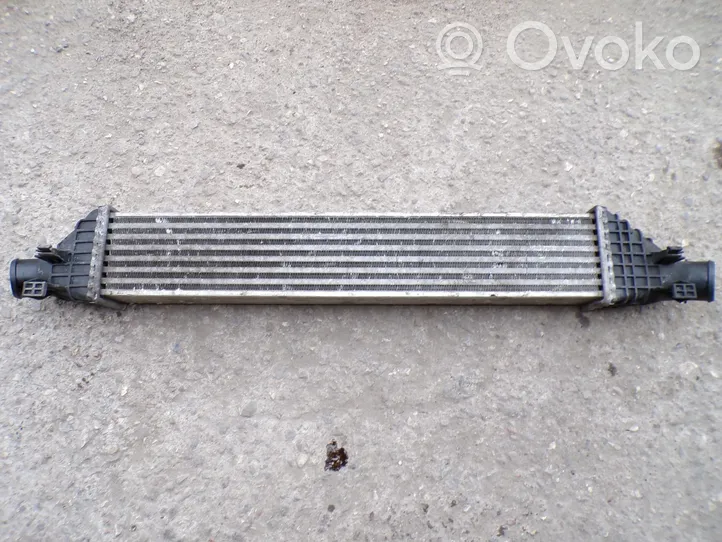 Dodge Journey Chłodnica powietrza doładowującego / Intercooler L9282003