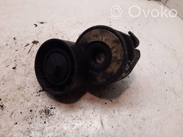 Opel Signum Napinacz paska wielorowkowego / Alternatora 55190813