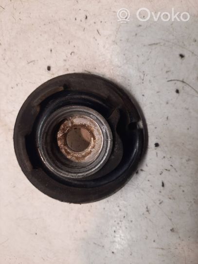 Volkswagen PASSAT B5.5 Coil spring/strut mount 