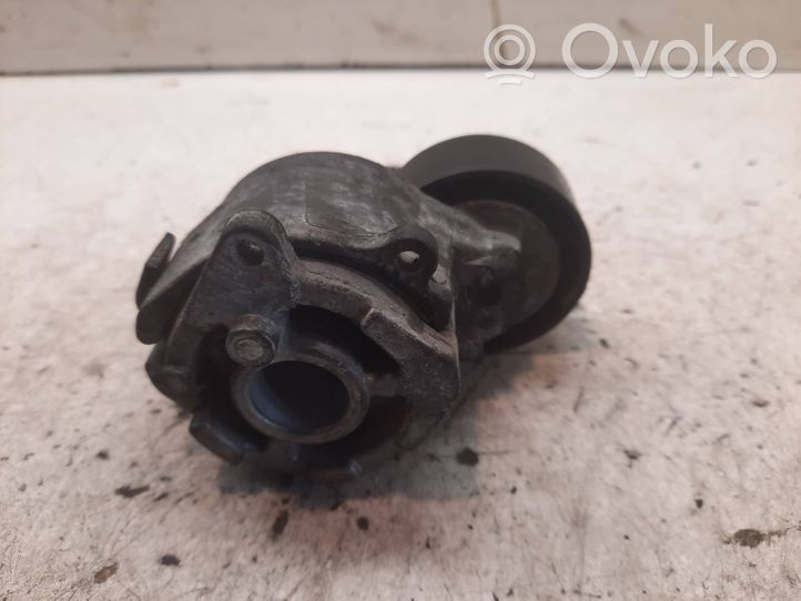 Opel Signum Alternator belt tensioner TF058E