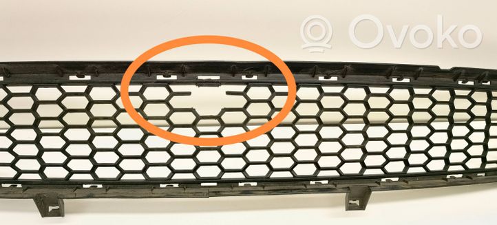 BMW X5 E70 Grille inférieure de pare-chocs avant 51118047339