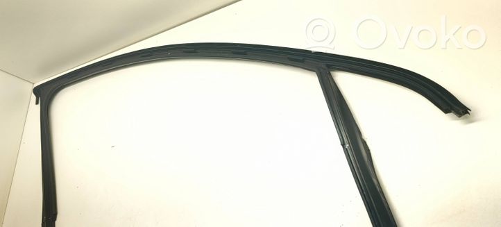 Volkswagen PASSAT B7 Rubber seal front door window/glass 3C4837431F