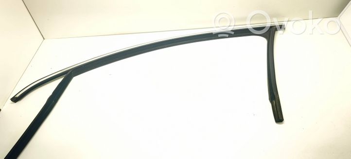 Volkswagen PASSAT B7 Rubber seal front door window/glass 3C4837431F